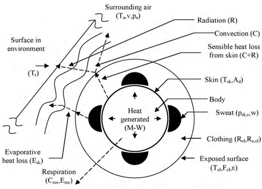 body_heat-balance
